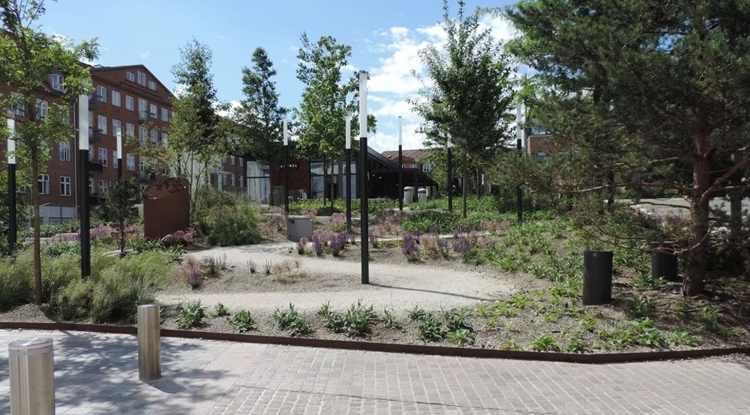 Boligområde budolfi plads